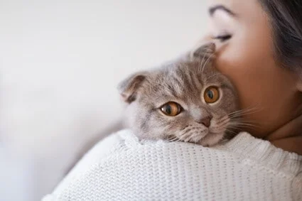 how long do cats recognize their owners?