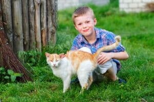 Why Do Cats Arch Their Backs When You Pet Them?