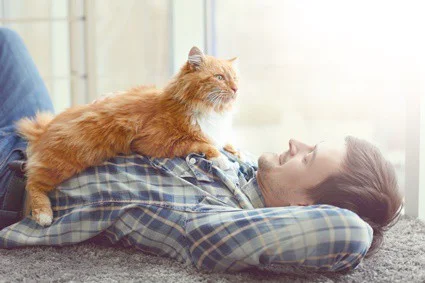 do cats copy human behavior?