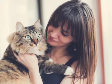 Why Do Cats Prefer One Person Over Another Senior Cat Wellness