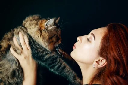 how do cats kiss you?