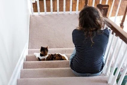 How To Stop Cats From Scratching Carpet On Stairs